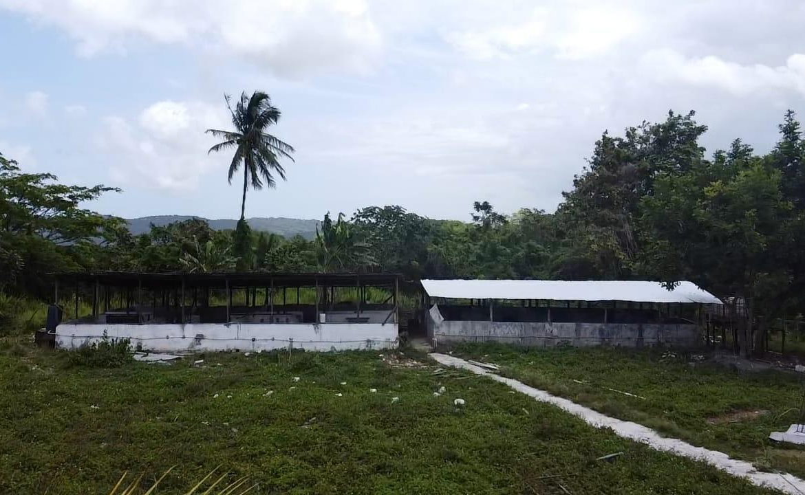 Sixth image of 6 Ballards Valley in Ballards Valley, St. Mary, Jamaica - property is For Sale