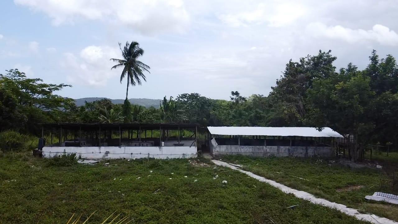 Sixth image of 6 Ballards Valley in Ballards Valley, St. Mary, Jamaica - property is For Sale