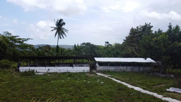 Sixth image of 6 Ballards Valley in Ballards Valley, St. Mary, Jamaica - property is For Sale