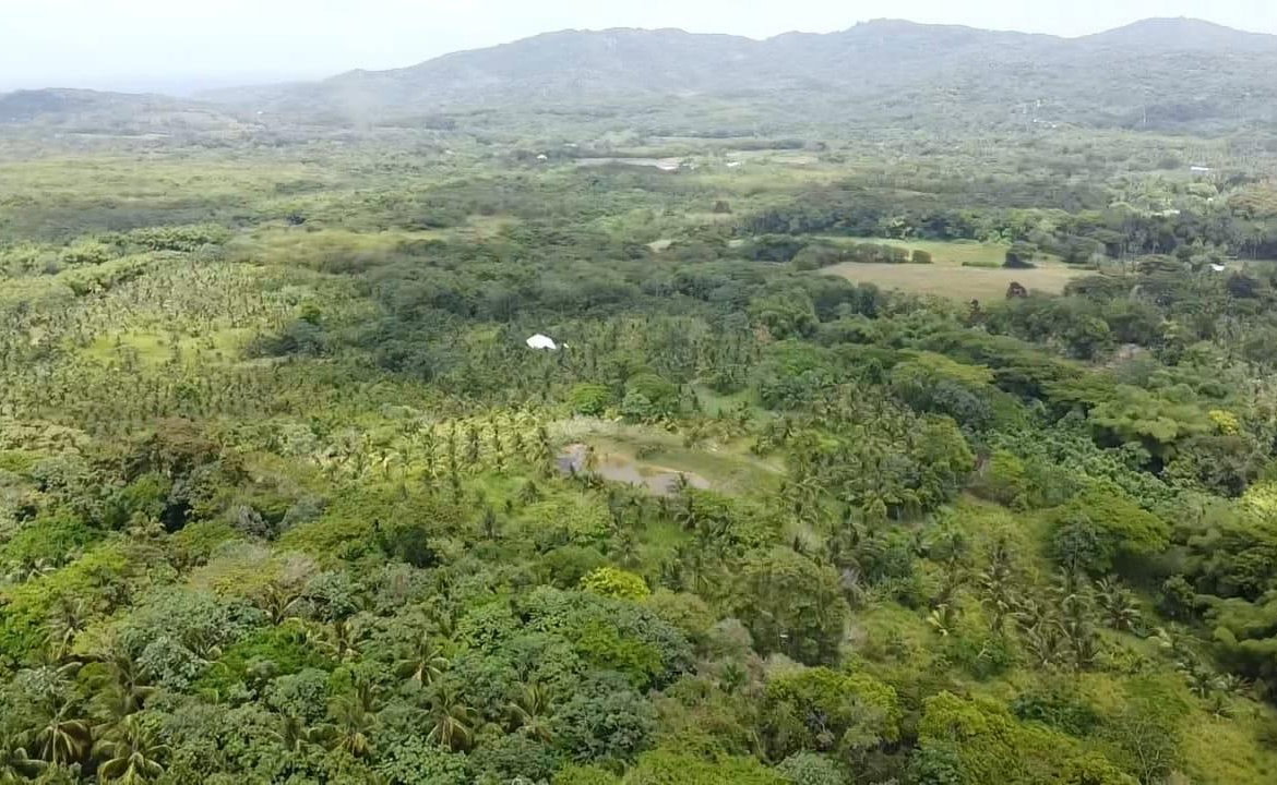 Seventh image of 6 Ballards Valley in Ballards Valley, St. Mary, Jamaica - property is For Sale