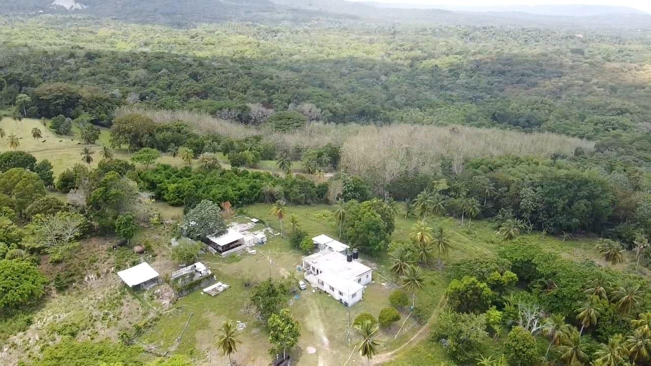 Eighth image of 6 Ballards Valley in Ballards Valley, St. Mary, Jamaica - property is For Sale