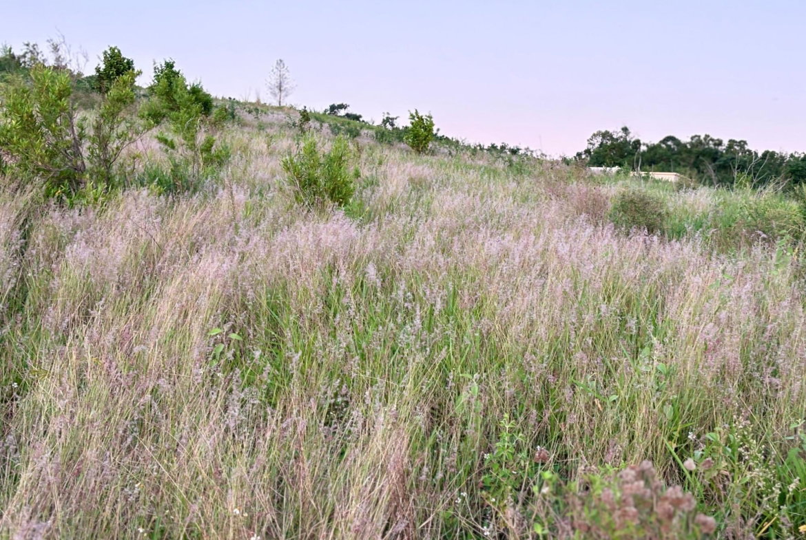 First image of 51 Malvern Heights in Malvern, St. Elizabeth, Jamaica - property is For Sale