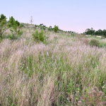 First image of 51 Malvern Heights in Malvern, St. Elizabeth, Jamaica - property is For Sale