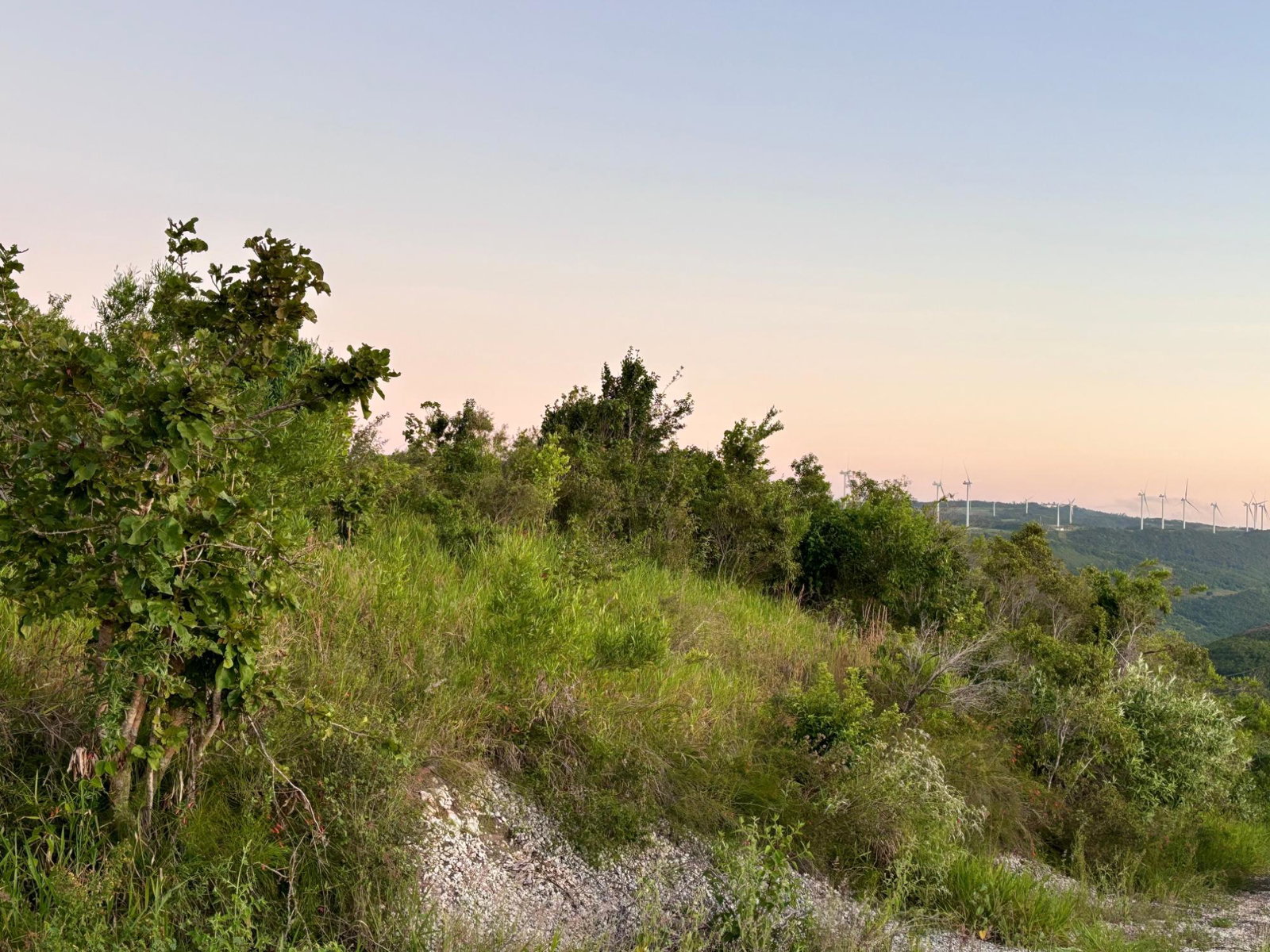 Third image of 51 Malvern Heights in Malvern, St. Elizabeth, Jamaica - property is For Sale