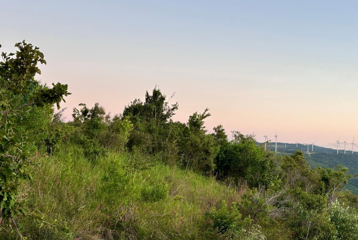 Fourth image of 51 Malvern Heights in Malvern, St. Elizabeth, Jamaica - property is For Sale