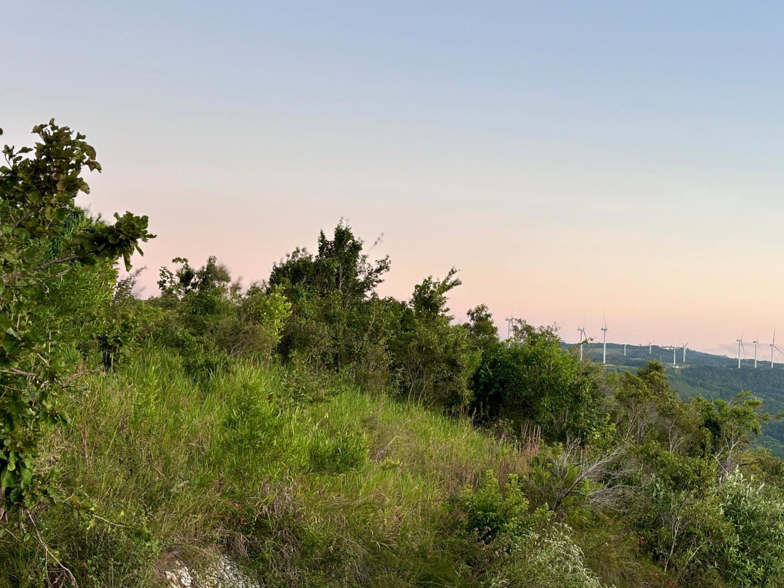 Fourth image of 51 Malvern Heights in Malvern, St. Elizabeth, Jamaica - property is For Sale