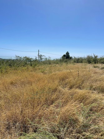 Eleventh image of Lot #24 Treasure Heights in Treasure Beach, St. Elizabeth, Jamaica - property is For Sale