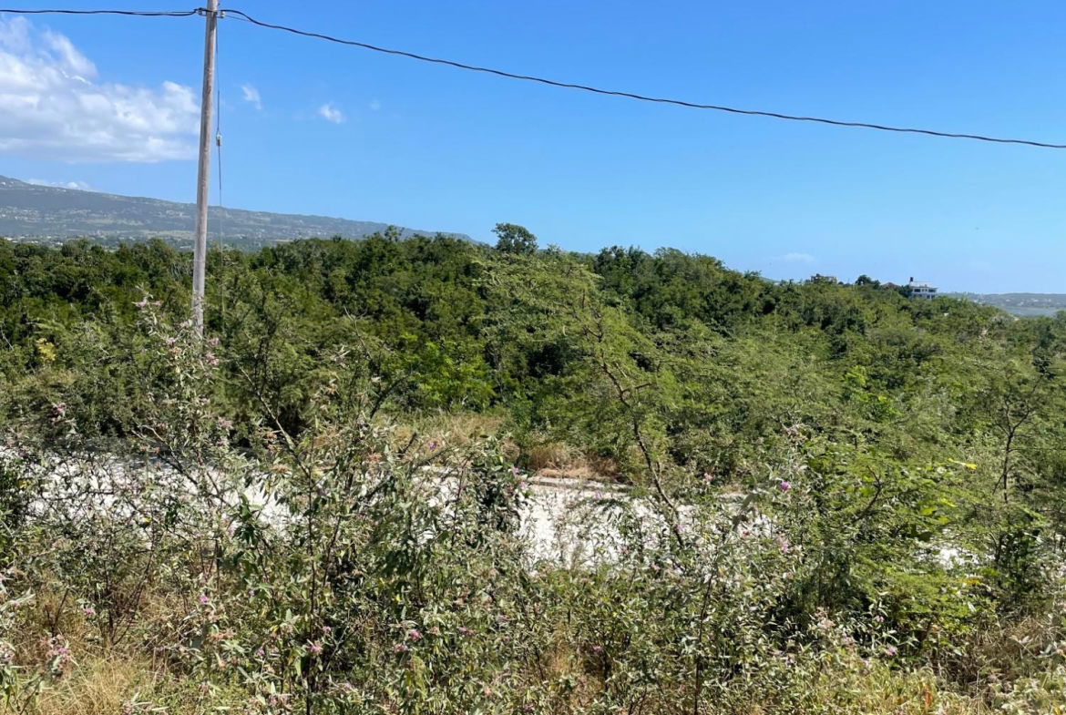 Eighth image of Lot #24 Treasure Heights in Treasure Beach, St. Elizabeth, Jamaica - property is For Sale