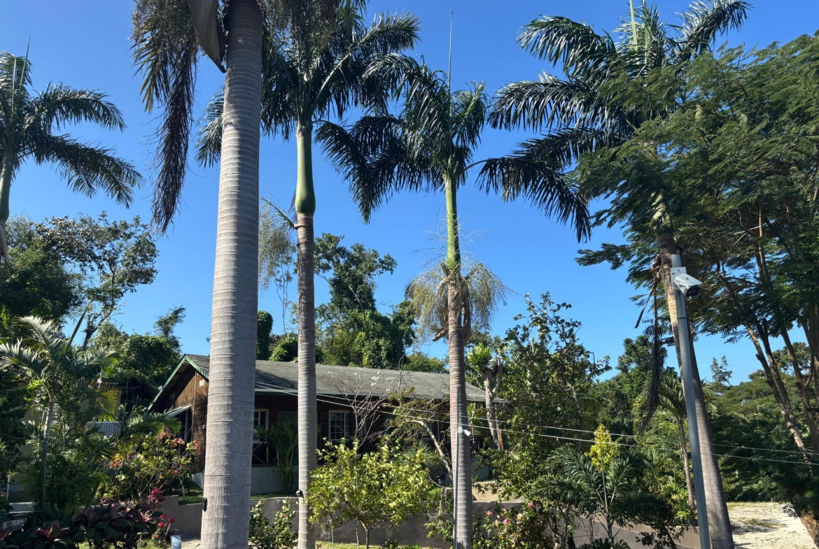 Twenty-Fifth image of T’s by da Sea in Green Island, Hanover, Jamaica - property is For Sale