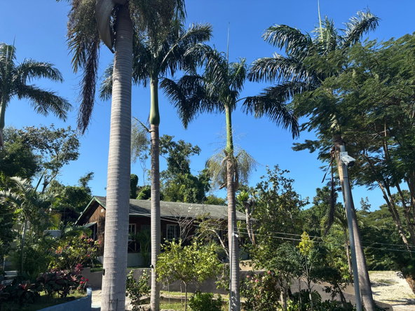 Twenty-Fifth image of T’s by da Sea in Green Island, Hanover, Jamaica - property is For Sale