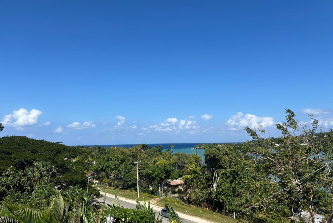 Twenty-Eighth image of T’s by da Sea in Green Island, Hanover, Jamaica - property is For Sale