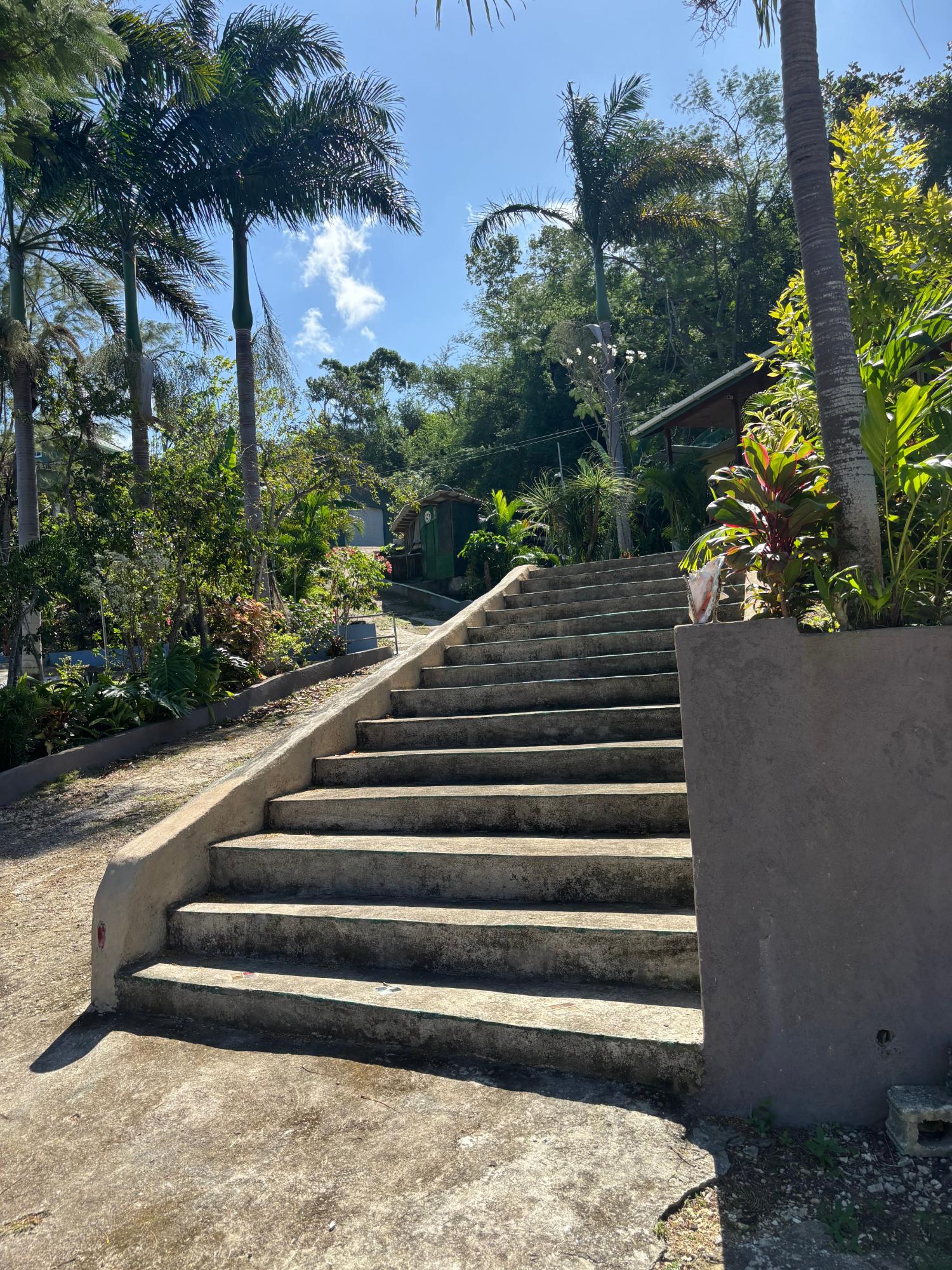 Ninth image of T’s by da Sea in Green Island, Hanover, Jamaica - property is For Sale