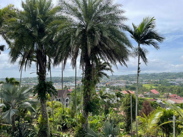 Seventeenth image of 5 Gordon Heights in Brumalia, Manchester, Jamaica - property is For Sale