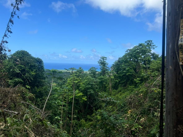 Second image of 281b Cardiff Hall Runaway Bay in Runaway Bay, St. Ann, Jamaica - property is For Sale