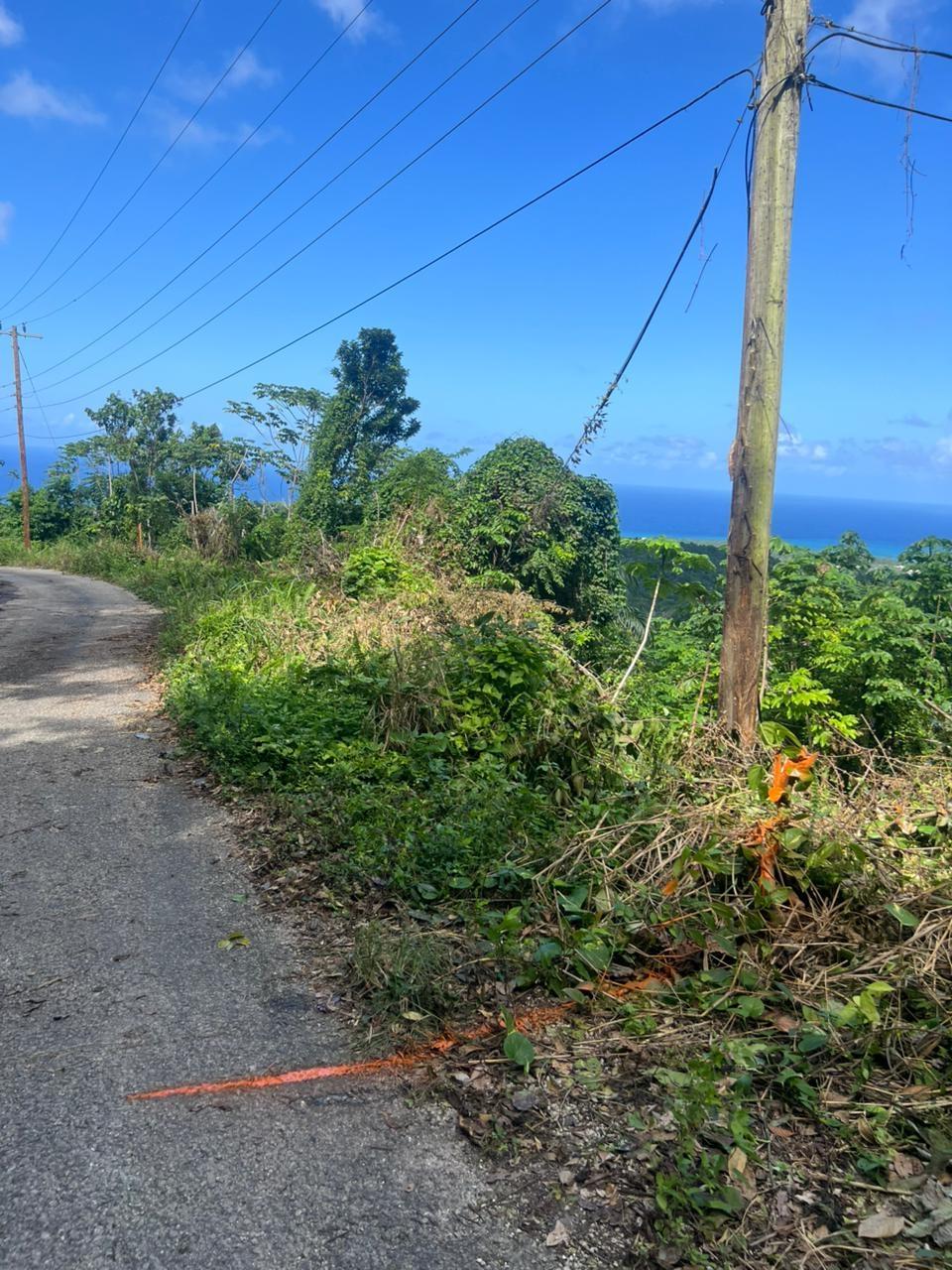 Fifth image of 281b Cardiff Hall Runaway Bay in Runaway Bay, St. Ann, Jamaica - property is For Sale