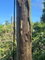 First image of 281b Cardiff Hall Runaway Bay in Runaway Bay, St. Ann, Jamaica - property is For Sale