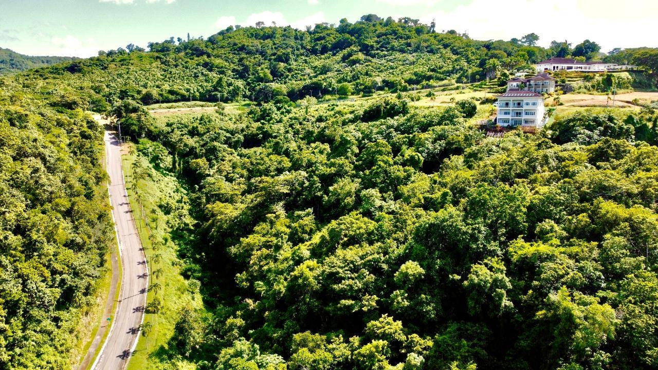 Stunning-Ocean-View-Residential-Lot-for-Sale-in-Reading-Heights-Montego-Bay Twenty-Fourth image of Reading Heights in Montego Bay, St. James, Jamaica - property is For Sale
