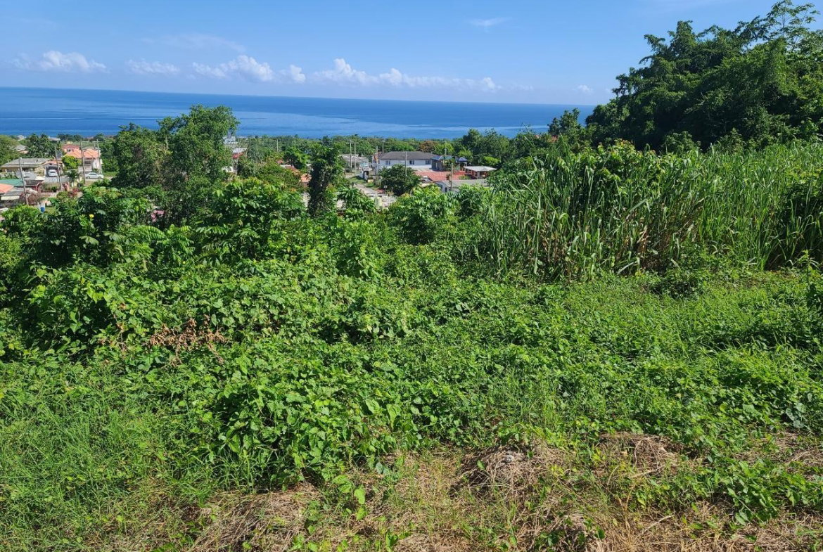 Twelfth image of 2- Boscobel in Boscobel, St. Mary, Jamaica - property is For Sale