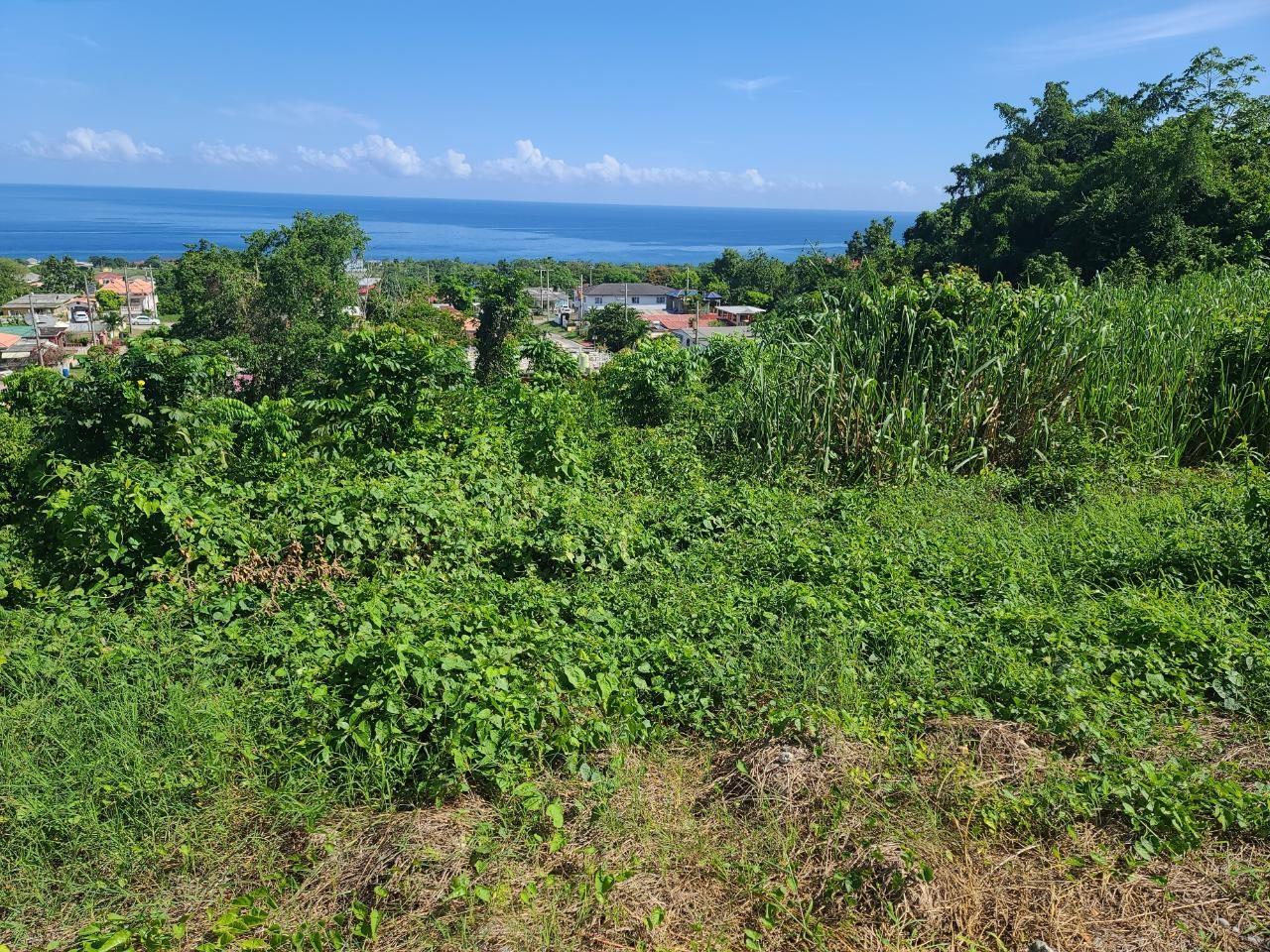 Stunning-Residential-Lot-for-Sale-in-Boscobel-Heights-Jamaica Twelfth image of 2- Boscobel in Boscobel, St. Mary, Jamaica - property is For Sale