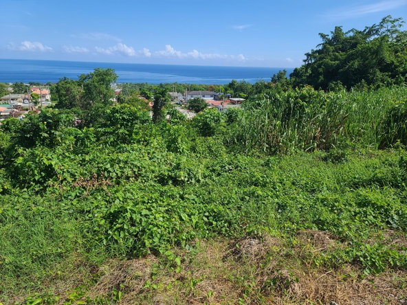 Twelfth image of 2- Boscobel in Boscobel, St. Mary, Jamaica - property is For Sale