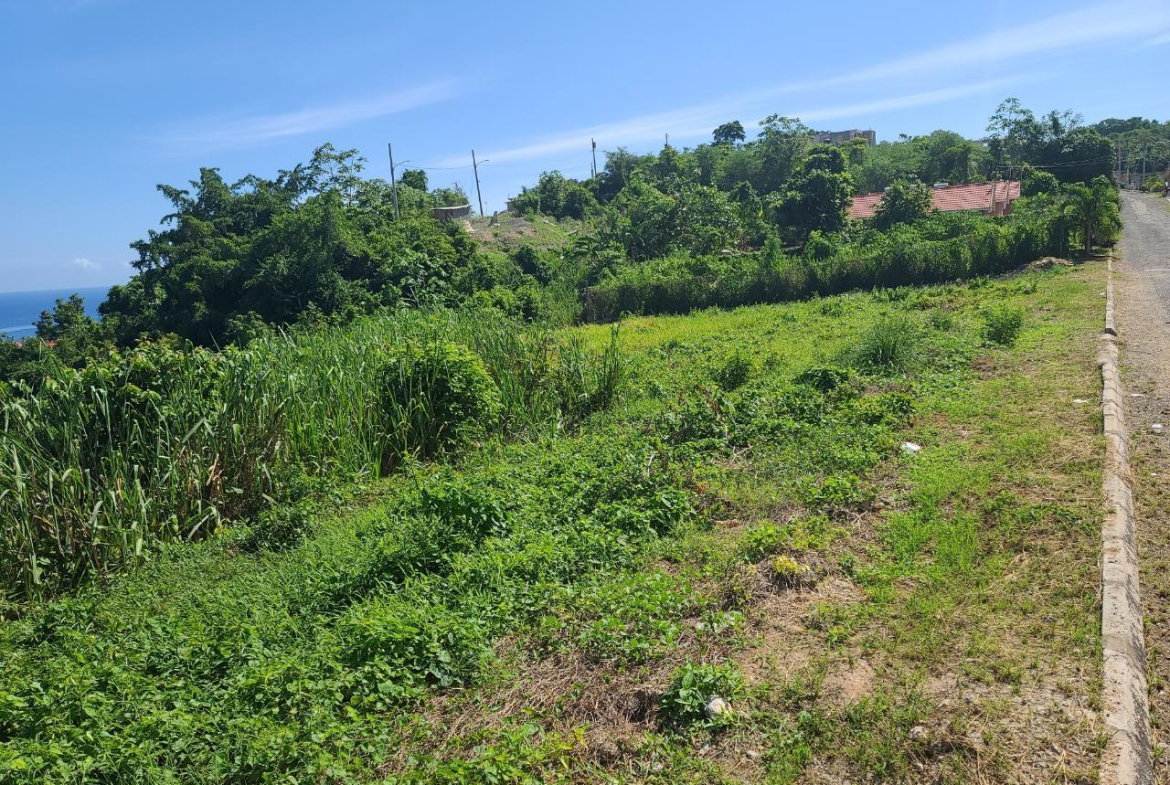 Thirteenth image of 2- Boscobel in Boscobel, St. Mary, Jamaica - property is For Sale