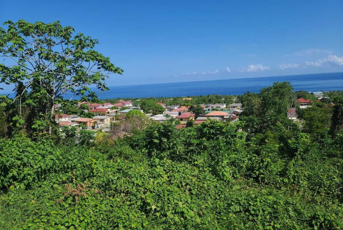 Fourteenth image of 2- Boscobel in Boscobel, St. Mary, Jamaica - property is For Sale