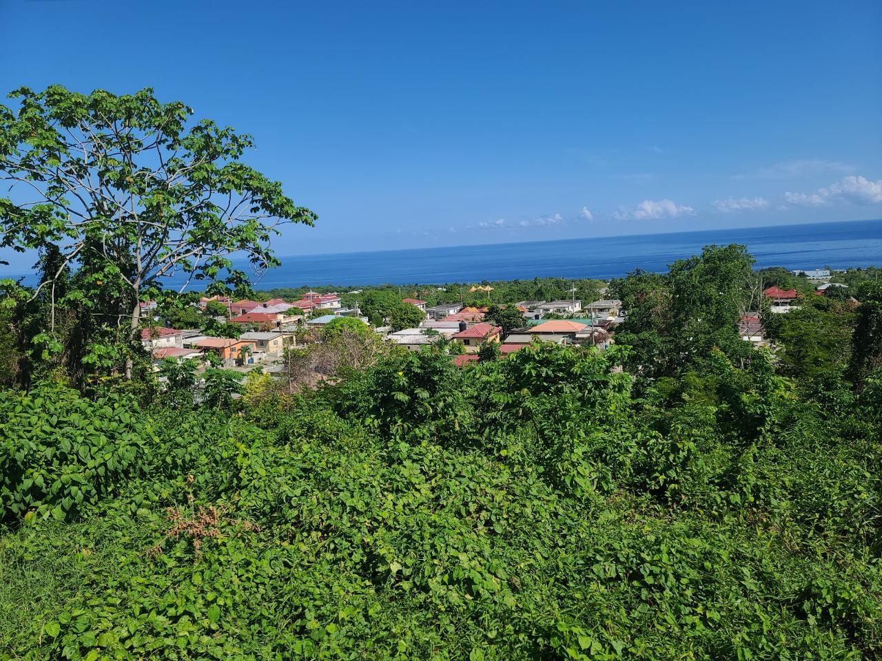 Stunning-Residential-Lot-for-Sale-in-Boscobel-Heights-Jamaica Fourteenth image of 2- Boscobel in Boscobel, St. Mary, Jamaica - property is For Sale
