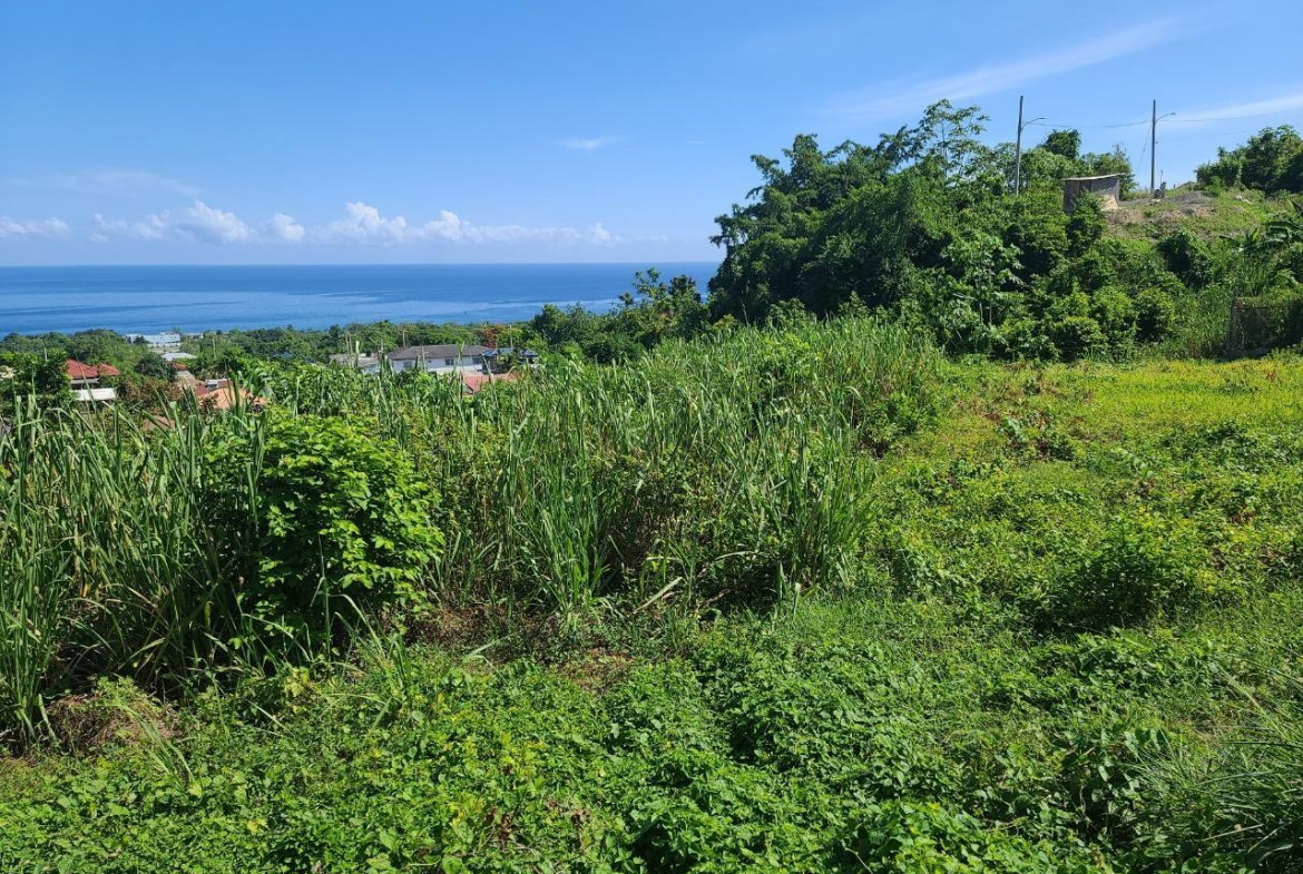 Sixteenth image of 2- Boscobel in Boscobel, St. Mary, Jamaica - property is For Sale