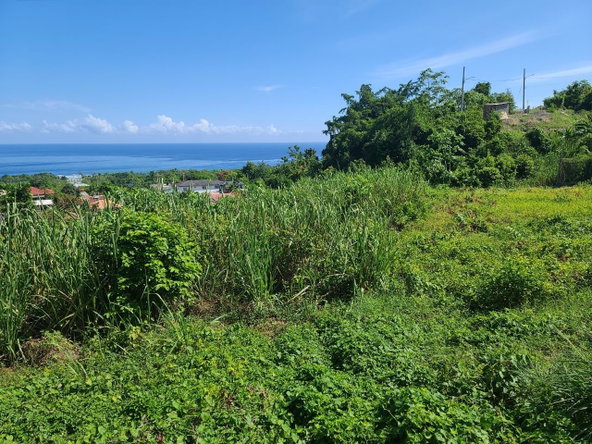 Sixteenth image of 2- Boscobel in Boscobel, St. Mary, Jamaica - property is For Sale