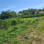 First image of 2- Boscobel in Boscobel, St. Mary, Jamaica - property is For Sale