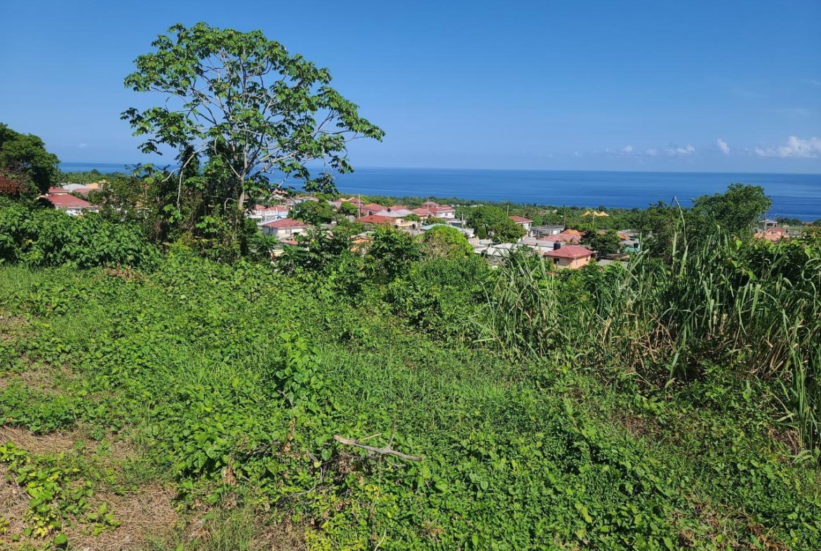 Sixth image of 2- Boscobel in Boscobel, St. Mary, Jamaica - property is For Sale
