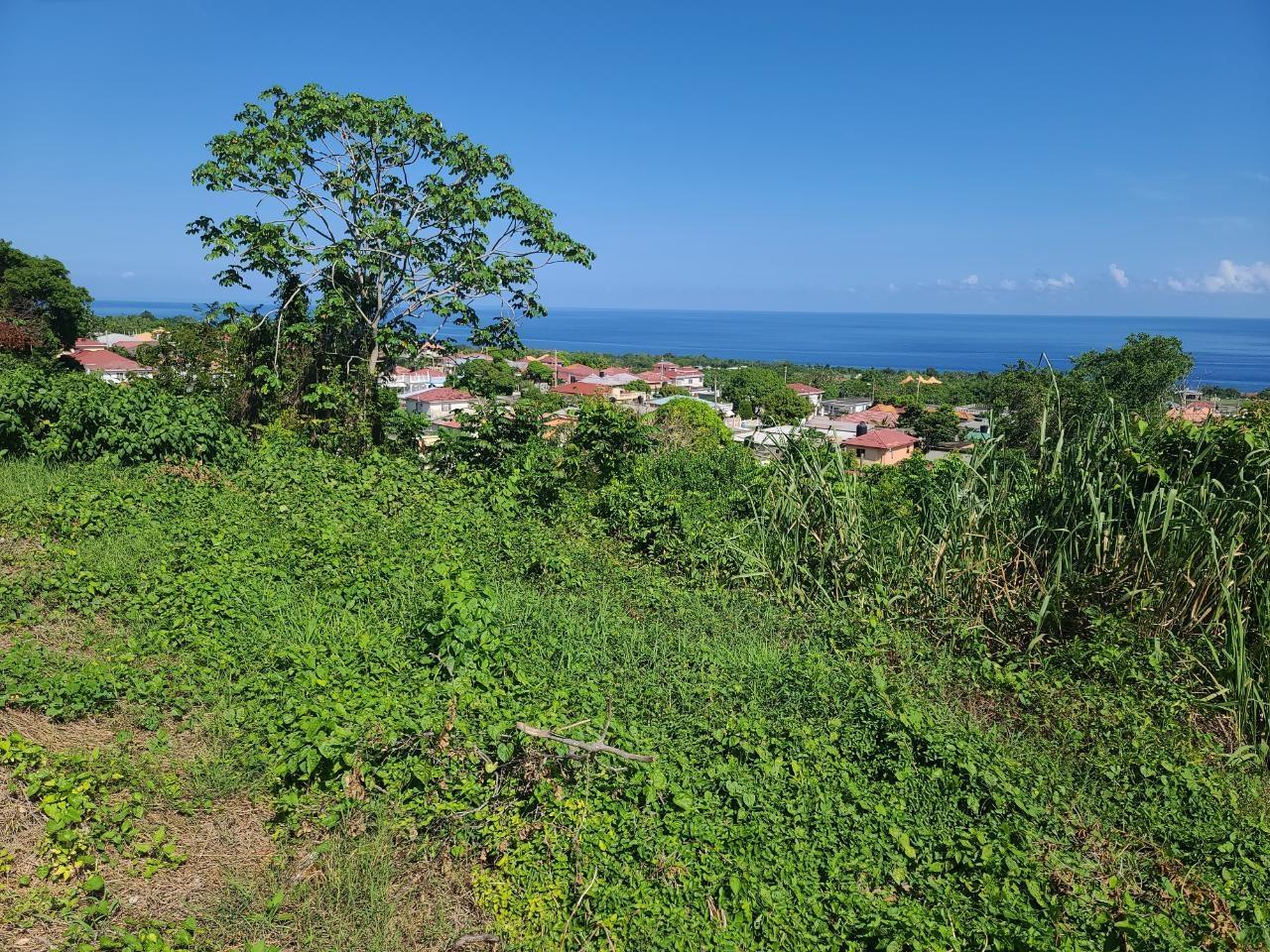 Stunning-Residential-Lot-for-Sale-in-Boscobel-Heights-Jamaica Sixth image of 2- Boscobel in Boscobel, St. Mary, Jamaica - property is For Sale