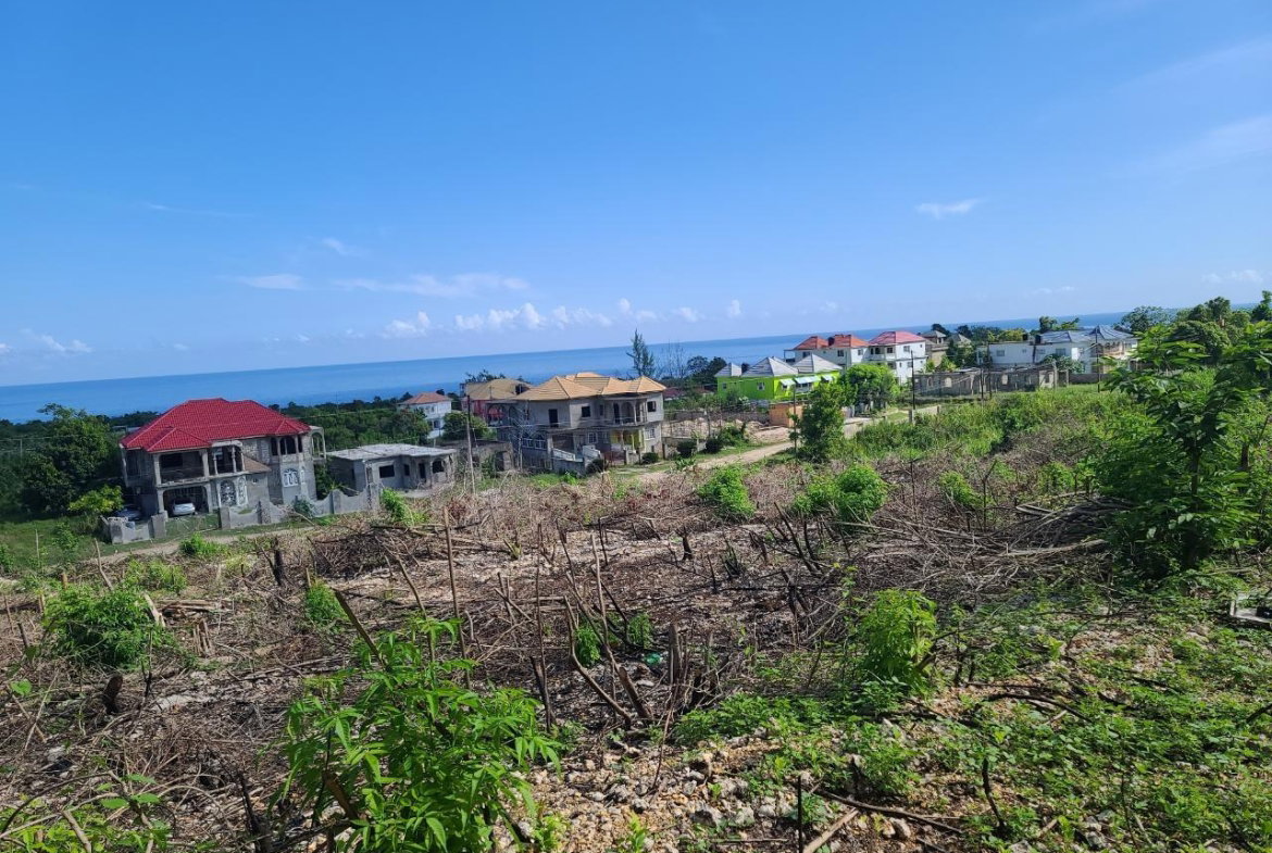 Ninth image of 2- Boscobel in Boscobel, St. Mary, Jamaica - property is For Sale