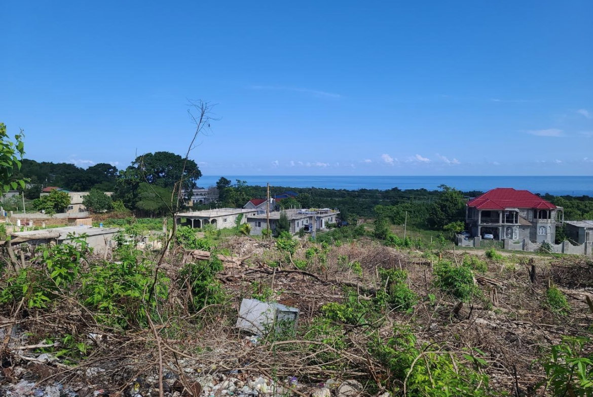 Tenth image of 2- Boscobel in Boscobel, St. Mary, Jamaica - property is For Sale