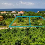 First image of 216- Rio Nuevo Aisle in Boscobel, St. Mary, Jamaica - property is For Sale