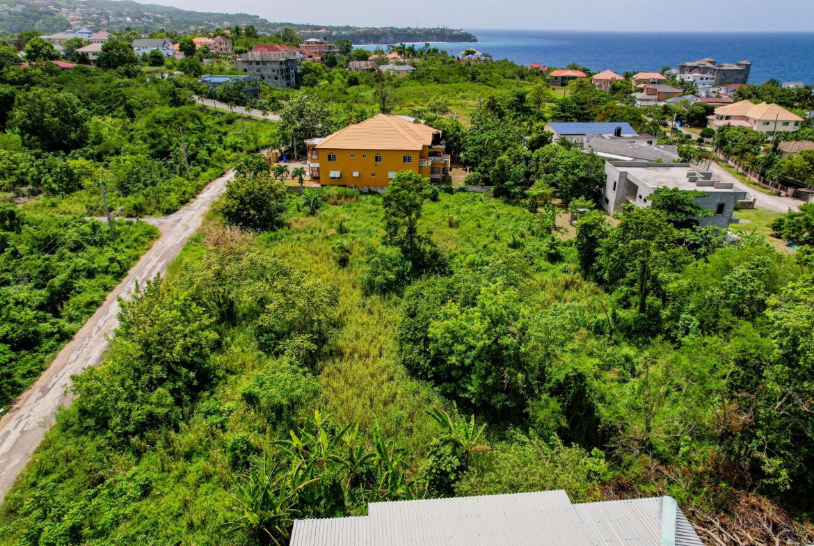 Fourth image of 216- Rio Nuevo Aisle in Boscobel, St. Mary, Jamaica - property is For Sale