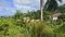 First image of 226- Wooside Dr, Coral Gardens in Montego Bay, St. James, Jamaica - property is For Sale