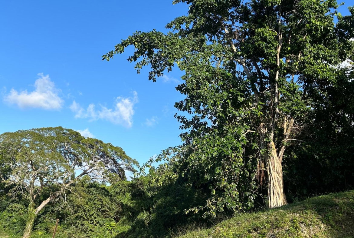 Third image of 92 Reading Heights, Montego in Montego Bay, St. James, Jamaica - property is For Sale
