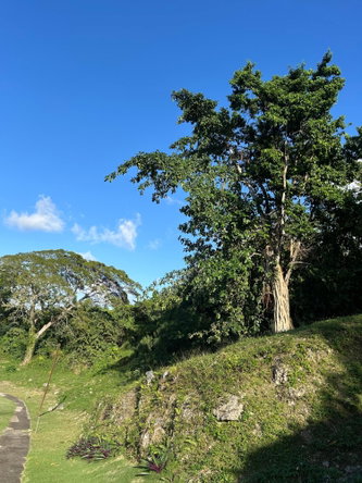 Third image of 92 Reading Heights, Montego in Montego Bay, St. James, Jamaica - property is For Sale