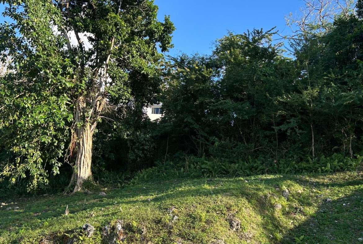 Fourth image of 92 Reading Heights, Montego in Montego Bay, St. James, Jamaica - property is For Sale