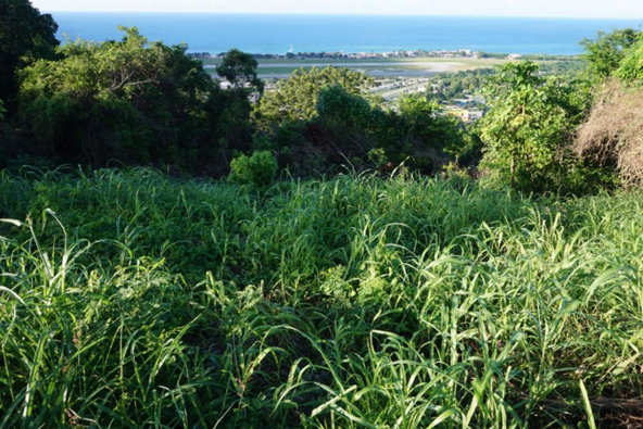Third image of Lot 246 Norwood Views,montego Bay in Montego Bay, St. James, Jamaica - property is For Sale