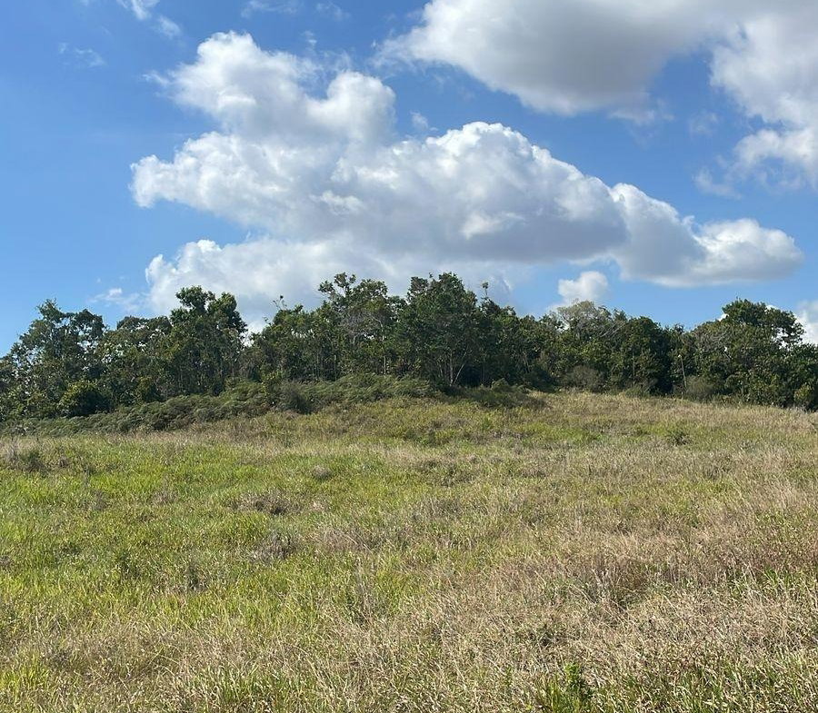 Sixth image of Lot 508 New Wales in New Whales, Manchester, Jamaica - property is For Sale