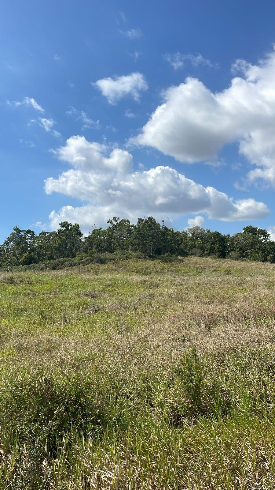 Stunning-Residential-Lot-for-Sale-in-New-Wales-Jamaica Sixth image of Lot 508 New Wales in New Whales, Manchester, Jamaica - property is For Sale
