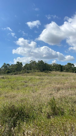 Sixth image of Lot 508 New Wales in New Whales, Manchester, Jamaica - property is For Sale