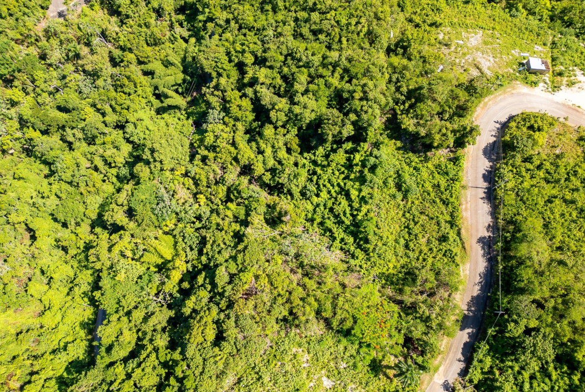 Second image of 204 Spring Garden in Reading, St. James, Jamaica - property is For Sale