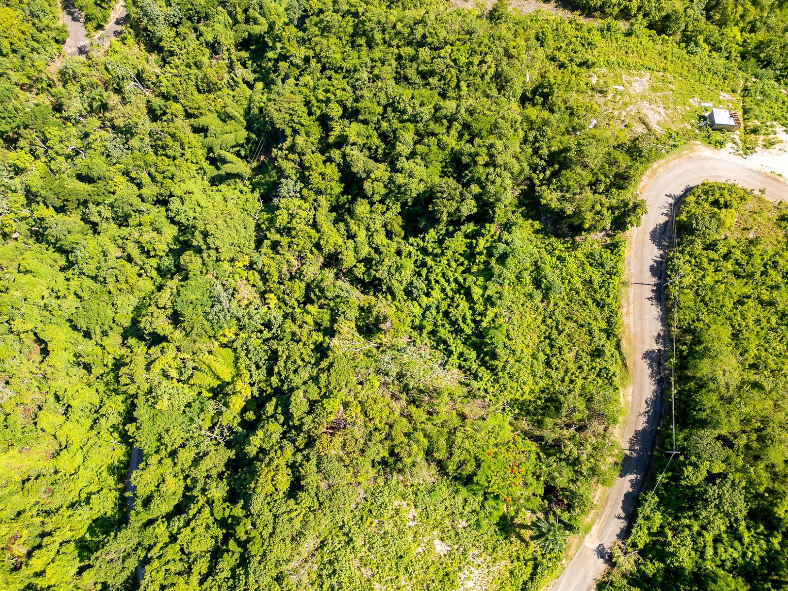 Second image of 204 Spring Garden in Reading, St. James, Jamaica - property is For Sale