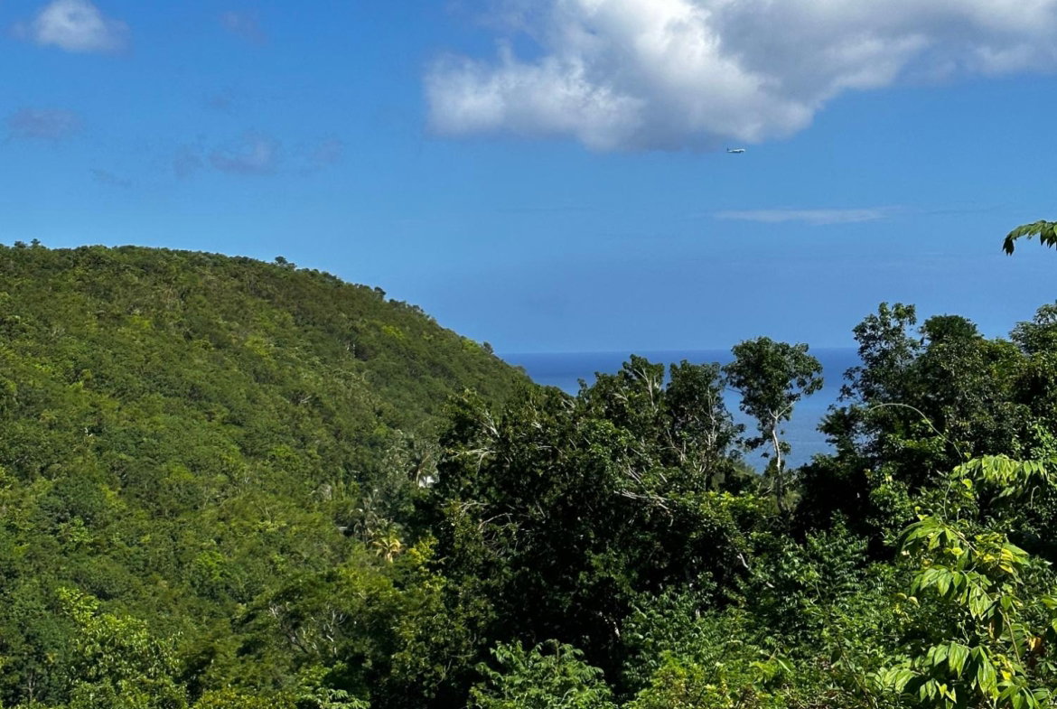 First image of 204 Spring Garden in Reading, St. James, Jamaica - property is For Sale