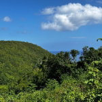 First image of 204 Spring Garden in Reading, St. James, Jamaica - property is For Sale