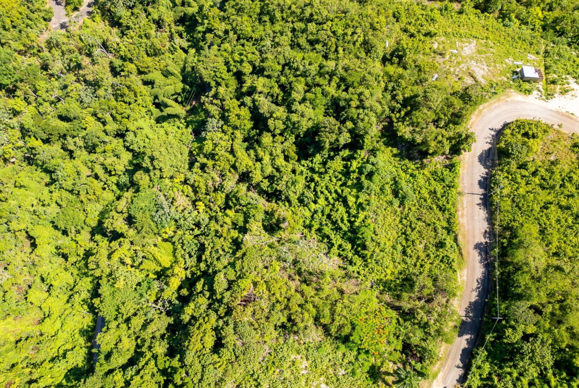 Third image of 204 Spring Garden in Reading, St. James, Jamaica - property is For Sale