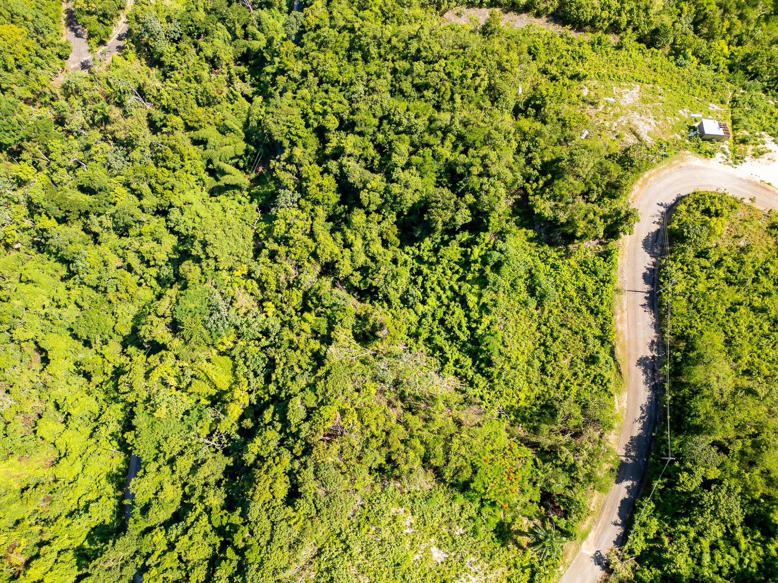 Third image of 204 Spring Garden in Reading, St. James, Jamaica - property is For Sale